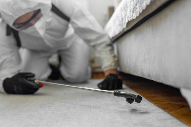 Professional Cockroach Control technician working in Islandia, NY